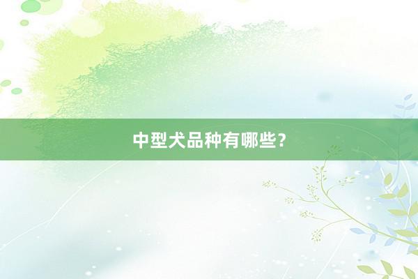 中型犬品种有哪些？