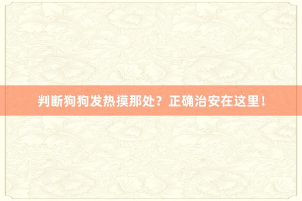 判断狗狗发热摸那处？正确治安在这里！